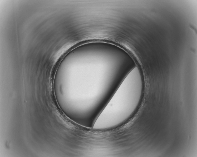 X0000103311077200808291147