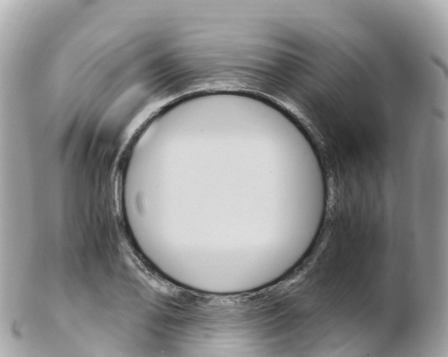 X0000103311078200808291147