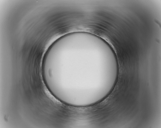X0000103311080200808291147