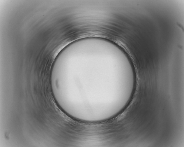 X0000103311081200808291147
