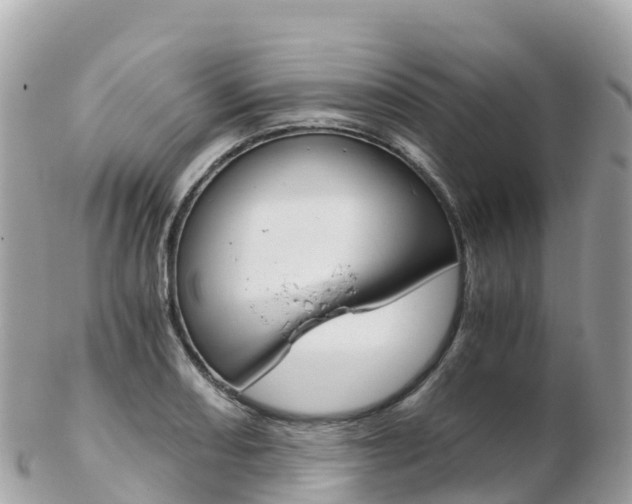 X0000103311082200808291147