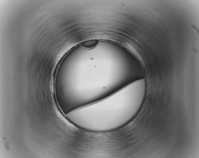 X0000103311084200808291147