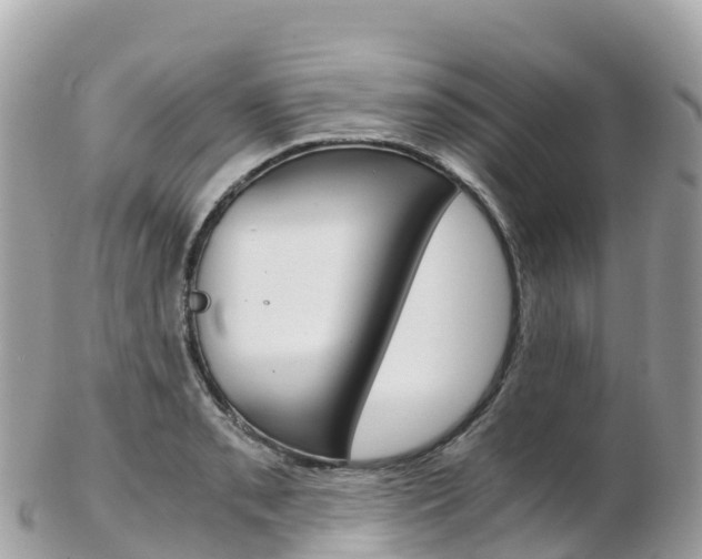 X0000103311085200808291147