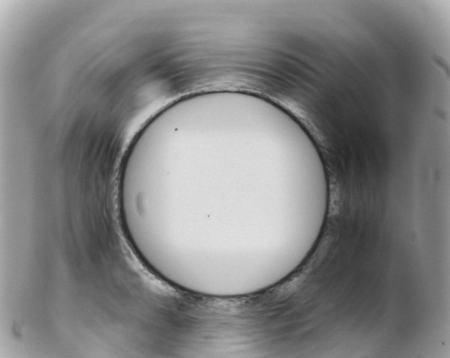 X0000103311086200808291147