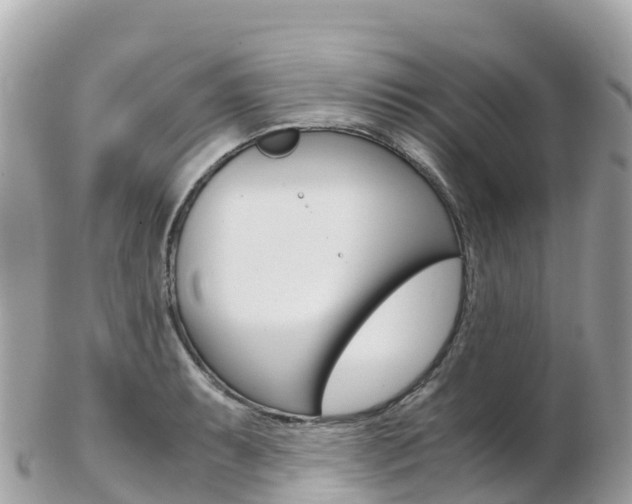 X0000103311087200808291147