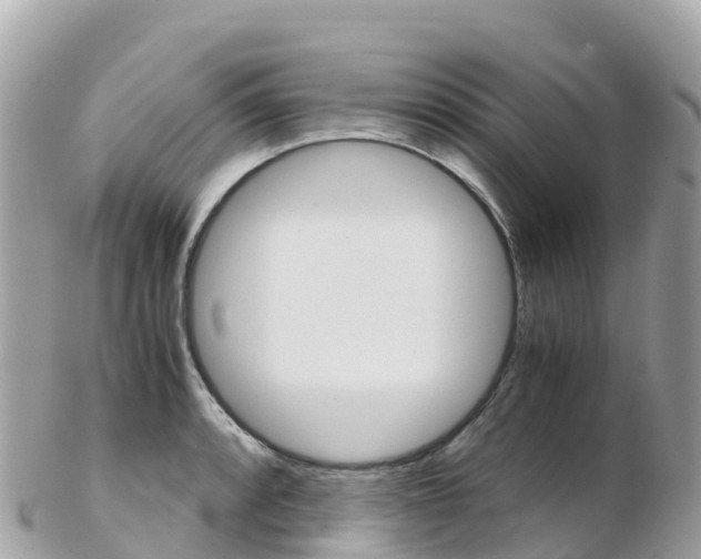 X0000103311088200808291147