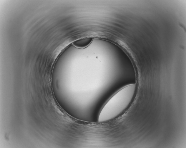X0000103311089200808291147