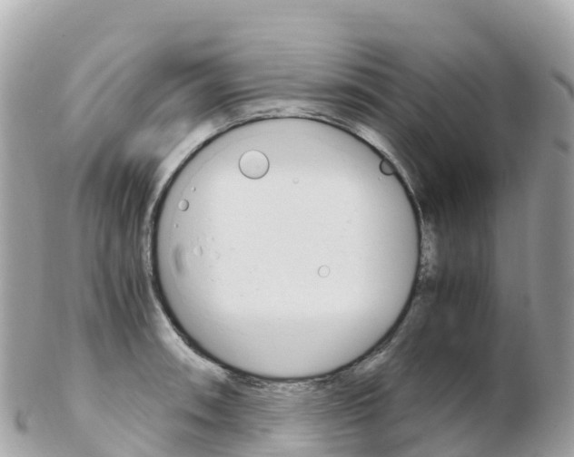 X0000103311090200808291147