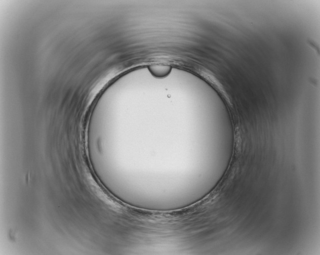 X0000103311091200808291147