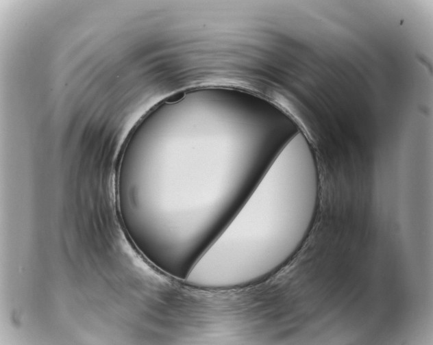 X0000103311092200808291147
