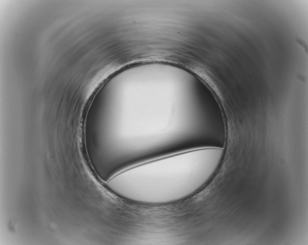 X0000103311093200808291147