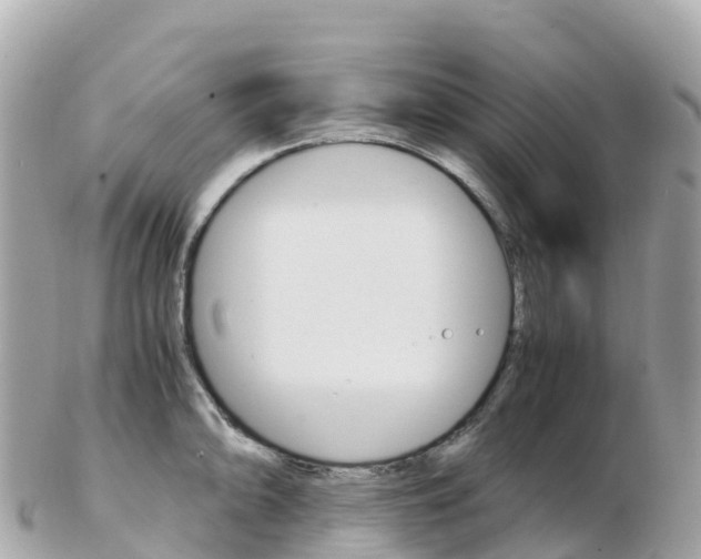 X0000103311094200808291147