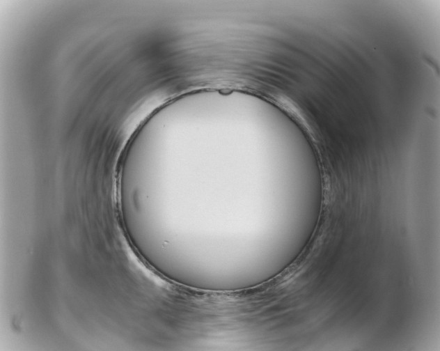 X0000103311095200808291147