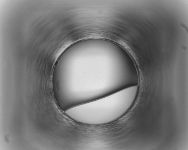 X0000103311097200808291147
