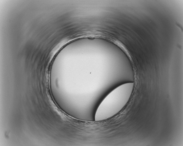 X0000103311099200808291147