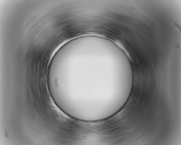 X0000103311100200808291147