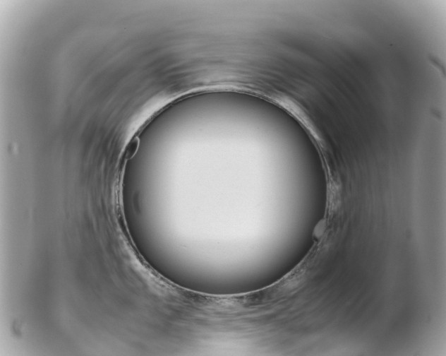 X0000103311101200808291147
