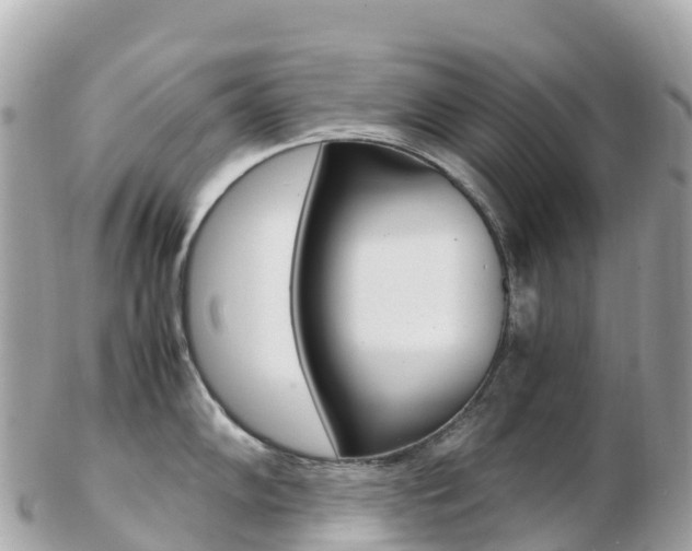X0000103311102200808291147