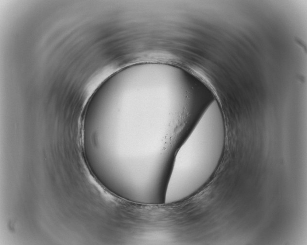 X0000103311103200808291147