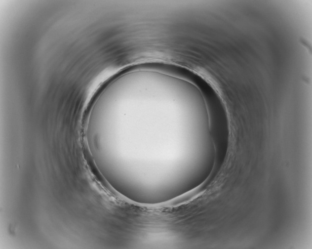 X0000103311104200808291147