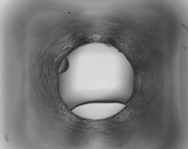 X0000103311105200808291146