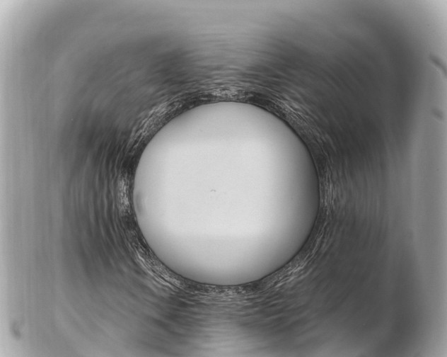 X0000103311106200808291146