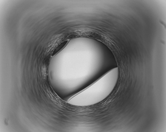 X0000103311108200808291146