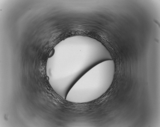 X0000103311109200808291146