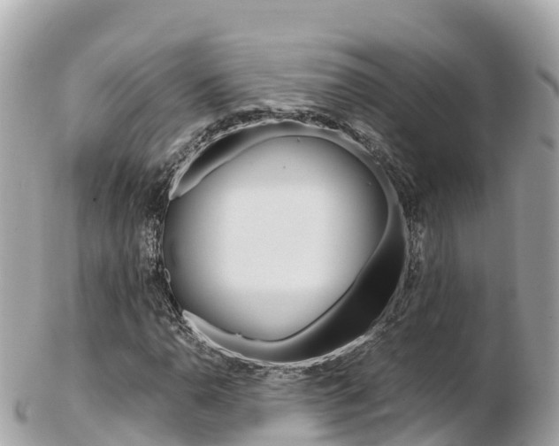 X0000103311110200808291146
