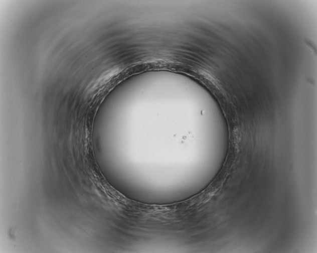 X0000103311111200808291146