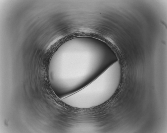 X0000103311112200808291146