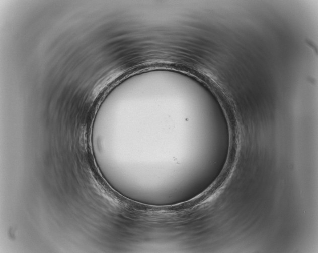 X0000103311113200808291146