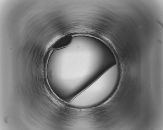 X0000103311114200808291146