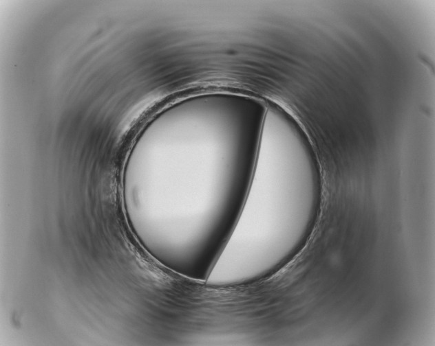 X0000103311115200808291146