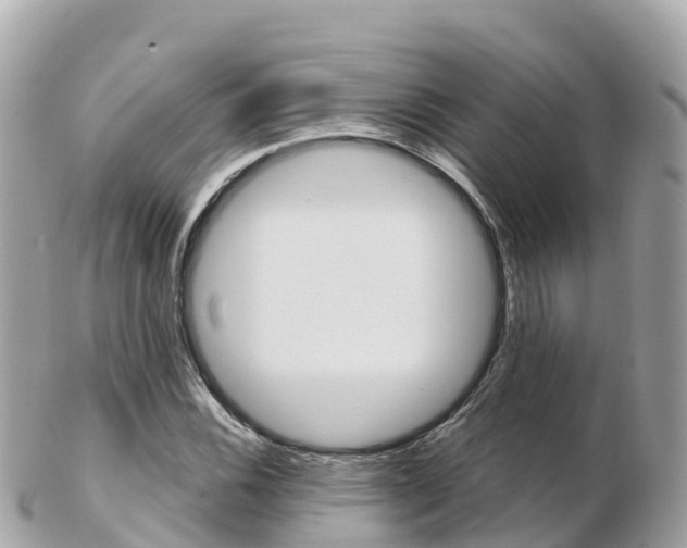 X0000103311116200808291146