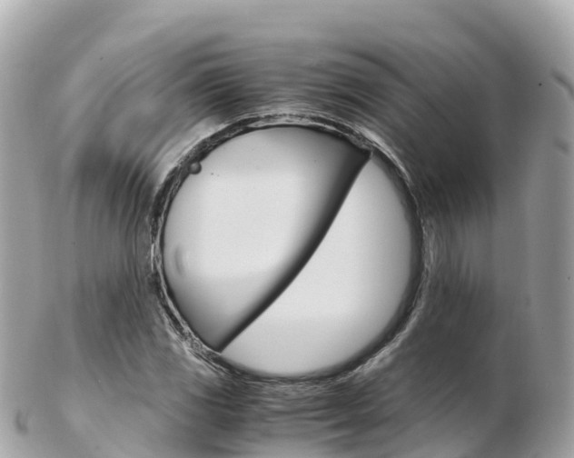 X0000103311117200808291146