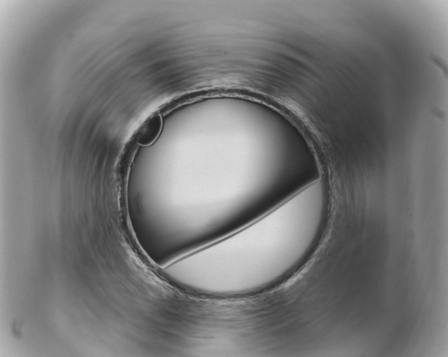 X0000103311118200808291146