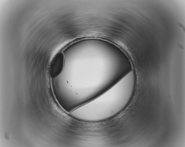 X0000103311120200808291146