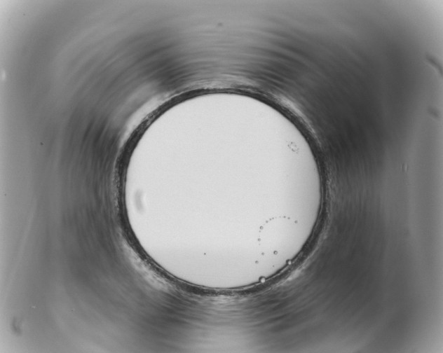 X0000103311122200808291146