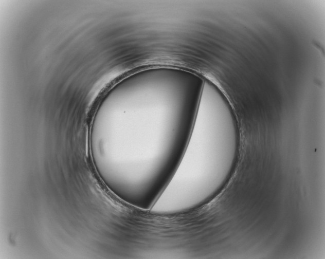 X0000103311123200808291146