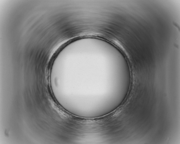 X0000103311124200808291146