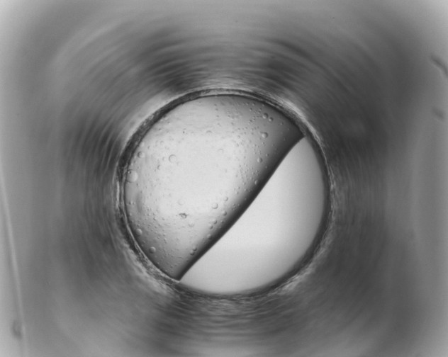 X0000103311125200808291146
