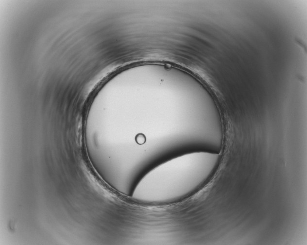X0000103311126200808291146