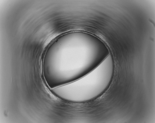X0000103311127200808291146