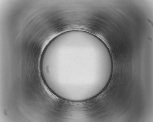 X0000103311128200808291146
