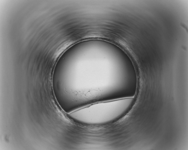 X0000103311129200808291146