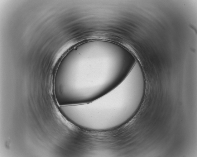 X0000103311131200808291146