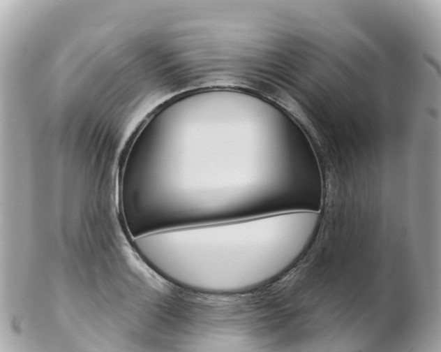 X0000103311132200808291146