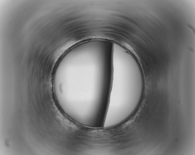 X0000103311133200808291146