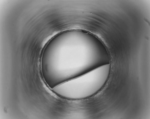 X0000103311134200808291146